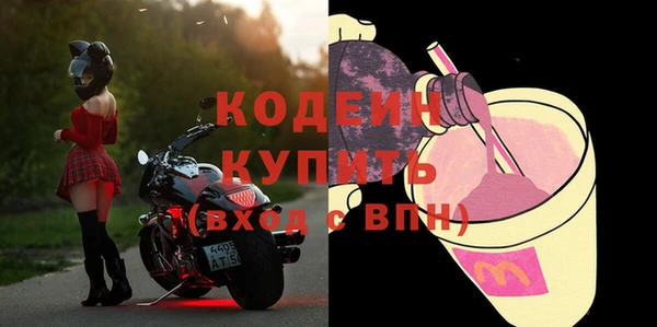 прущий лед Алзамай