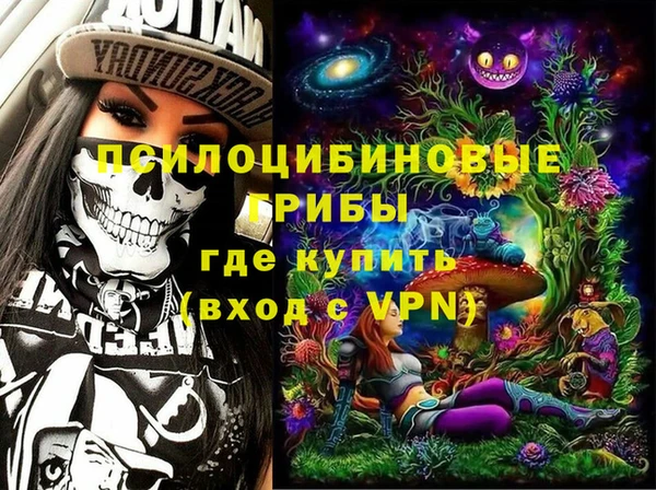 прущий лед Алзамай