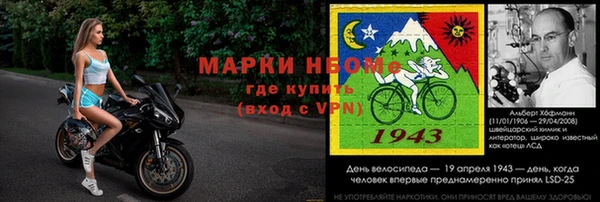прущий лед Алзамай