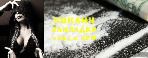 прущий лед Алзамай